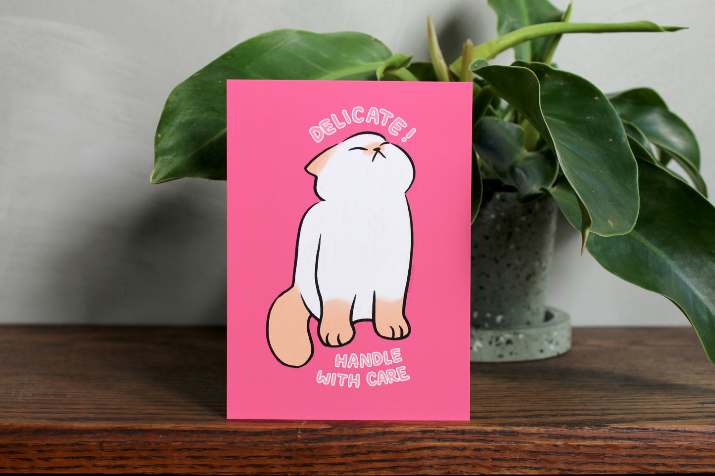 Delicate Baby Cat Mini Print