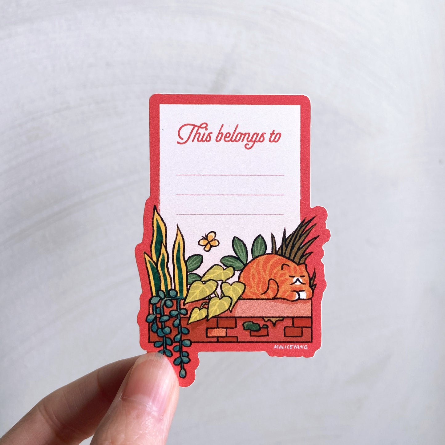 Orange Cat Name Label Waterproof Vinyl Sticker